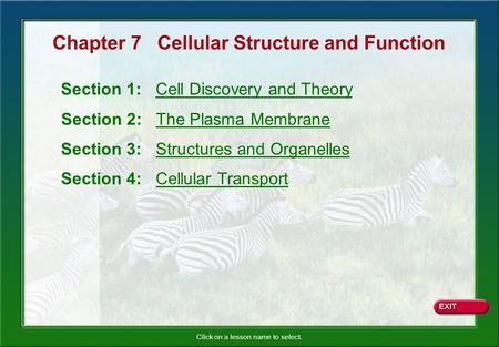 Chapter 7 Cellular Structure and Function