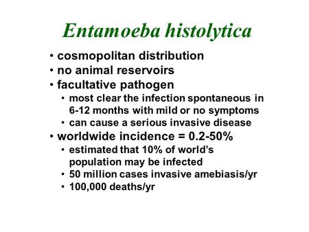 Entamoeba histolytica