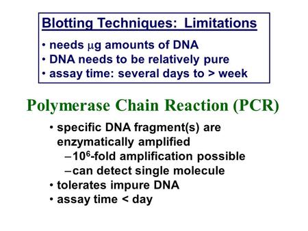 Polymerase Chain Reaction (PCR)