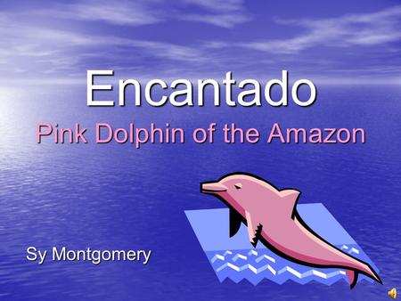 Encantado Pink Dolphin of the Amazon