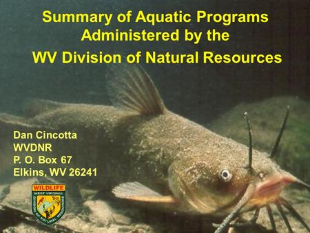 Summary of Aquatic Programs Administered by the WV Division of Natural Resources Dan Cincotta WVDNR P. O. Box 67 Elkins, WV 26241.