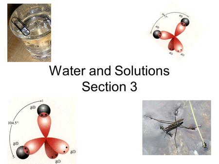 Water and Solutions Section 3