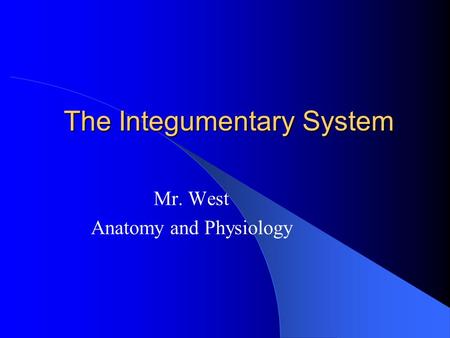 The Integumentary System