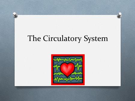 The Circulatory System