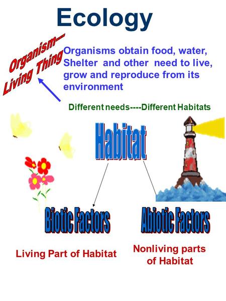 Ecology Organisms obtain food, water, Shelter and other need to live, grow and reproduce from its environment Different needs----Different Habitats Living.