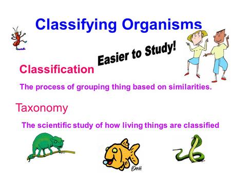 Classifying Organisms