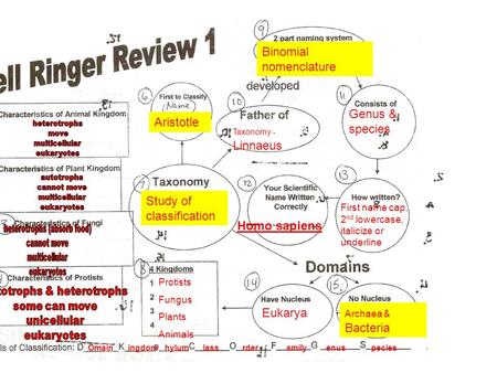 Binomial nomenclature