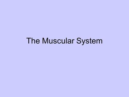 The Muscular System.