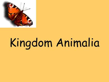 Kingdom Animalia.