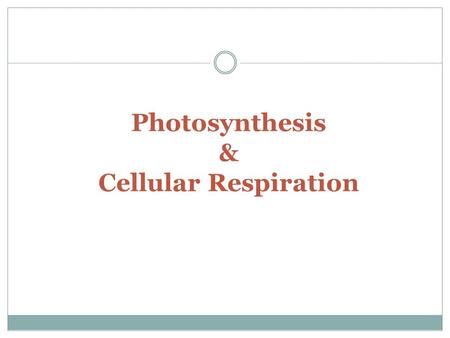 Photosynthesis & Cellular Respiration