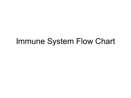 Immune System Flow Chart