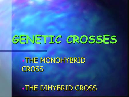 THE MONOHYBRID CROSS THE DIHYBRID CROSS