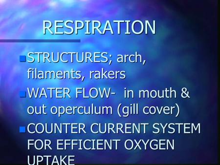 RESPIRATION n STRUCTURES; arch, filaments, rakers n WATER FLOW- in mouth & out operculum (gill cover) n COUNTER CURRENT SYSTEM FOR EFFICIENT OXYGEN UPTAKE.