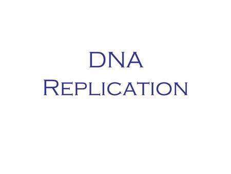 DNA Replication.