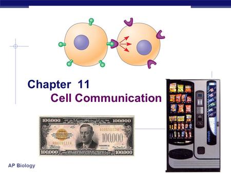 Chapter 11 Cell Communication