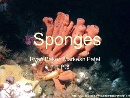 Ryan Baker, Markesh Patel P.3