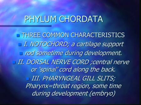 PHYLUM CHORDATA THREE COMMON CHARACTERISTICS