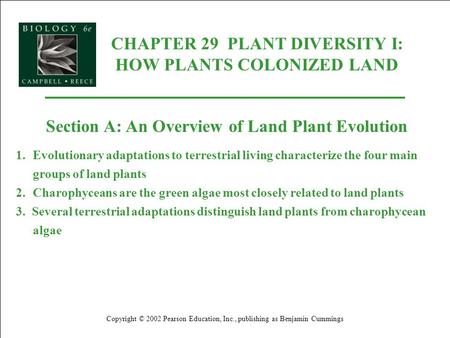 CHAPTER 29 PLANT DIVERSITY I: HOW PLANTS COLONIZED LAND