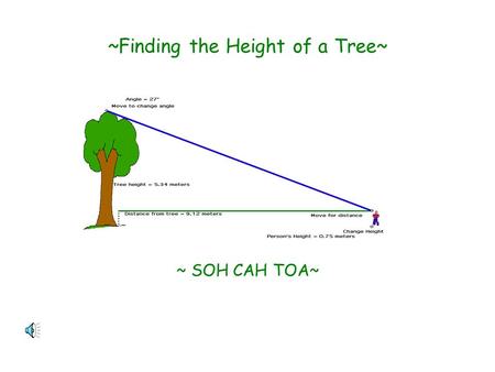 ~Finding the Height of a Tree~