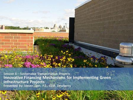 Session 8 – Sustainable Transportation Projects Innovative Financing Mechanisms for Implementing Green Infrastructure Projects Presented By: Steven Eget,