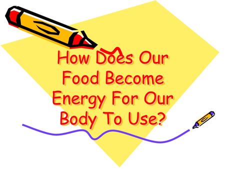 How Does Our Food Become Energy For Our Body To Use?