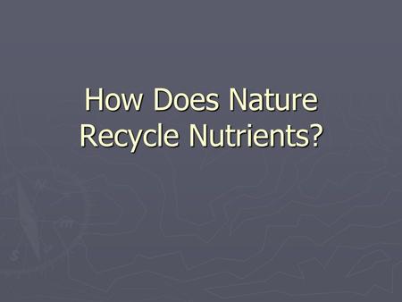 How Does Nature Recycle Nutrients?