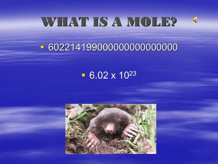 WHAT IS A MOLE? 602214199000000000000000 6.02 x 1023.