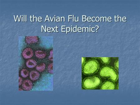 Will the Avian Flu Become the Next Epidemic?