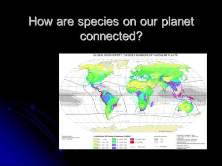 How are species on our planet connected?. Layers of our Planet Geosphere: solid part of earth that consists of soil, rock and sediments. Geosphere: solid.