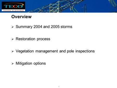 Electric Utility Infrastructure Florida Public Service Commission Workshop Paul Davis, Director Energy Control Center Tampa Electric Company January 23,