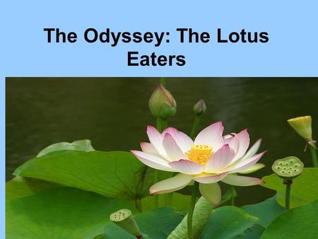 The Odyssey: The Lotus Eaters