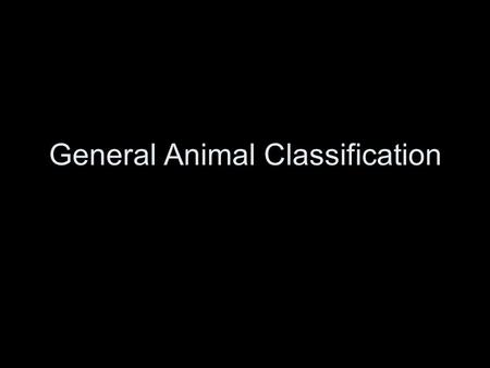 General Animal Classification