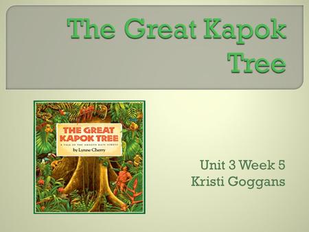 Unit 3 Week 5 Kristi Goggans. A fantasy is a made-up story in which the characters do things that you would not expect them to do in real life.