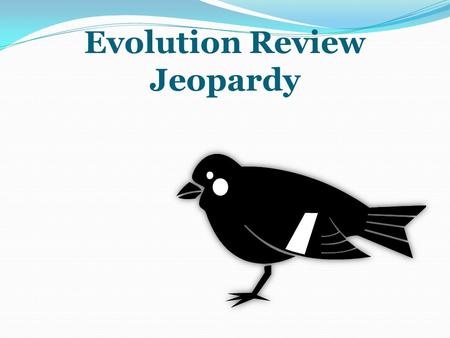 Evolution Review Jeopardy Ch. 14Ch. 15Vocab & Misc. $100100$100 100 $200200$200200$200200 $300300$300300$300300 $400400$400400$400400 $500500$500 500.