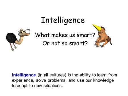 What makes us smart? Or not so smart?