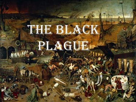 The Black Plague. How it was Transmitted The Black Plague or (Bubonic Plague) It is a Bacterial Infection 60% of infected will die unless treated by.