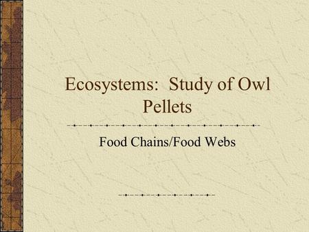 Ecosystems: Study of Owl Pellets