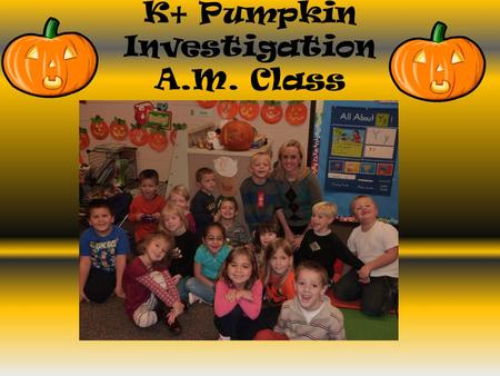 K+ Pumpkin Investigation A.M. Class. The pumpkin felt smooth and yucky!