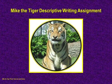 Mike the Tiger Descriptive Writing Assignment