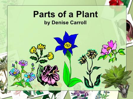 Parts of a Plant by Denise Carroll