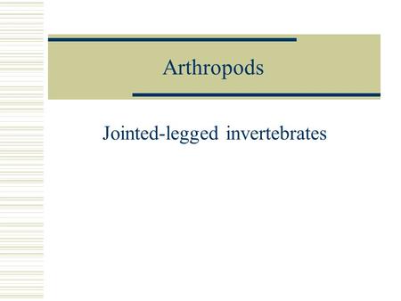 Jointed-legged invertebrates