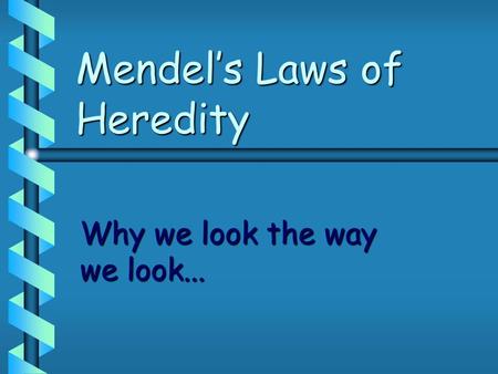 Mendel’s Laws of Heredity