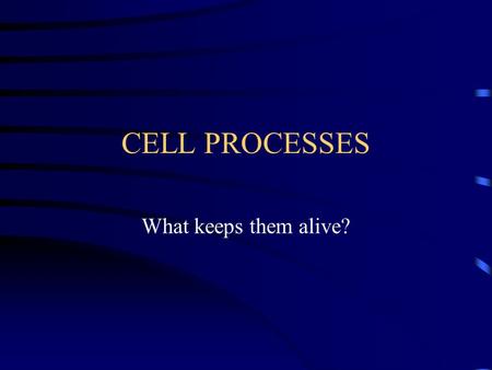 CELL PROCESSES What keeps them alive?.