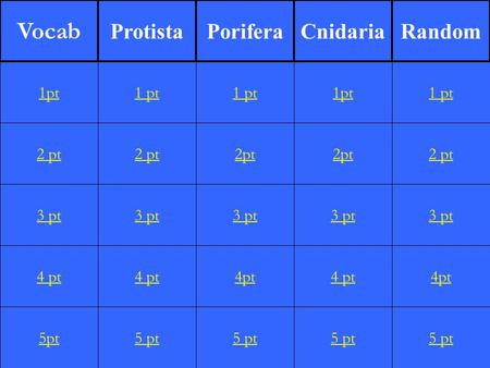 2 pt 3 pt 4 pt 5pt 1 pt 2 pt 3 pt 4 pt 5 pt 1 pt 2pt 3 pt 4pt 5 pt 1pt 2pt 3 pt 4 pt 5 pt 1 pt 2 pt 3 pt 4pt 5 pt 1pt Vocab ProtistaPoriferaCnidariaRandom.