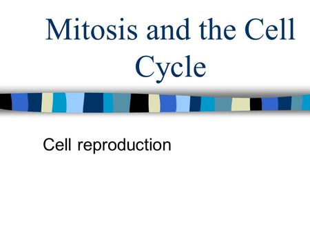 Mitosis and the Cell Cycle