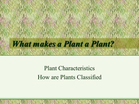 What makes a Plant a Plant?