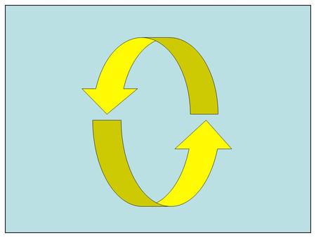 The Biogeochemical Cycles