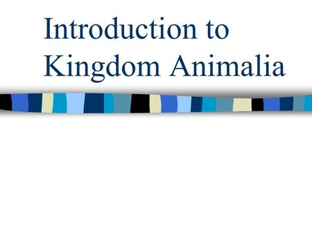 Introduction to Kingdom Animalia