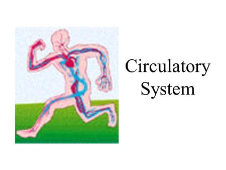 Circulatory System.