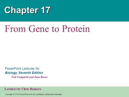 Chapter 17 From Gene to Protein.